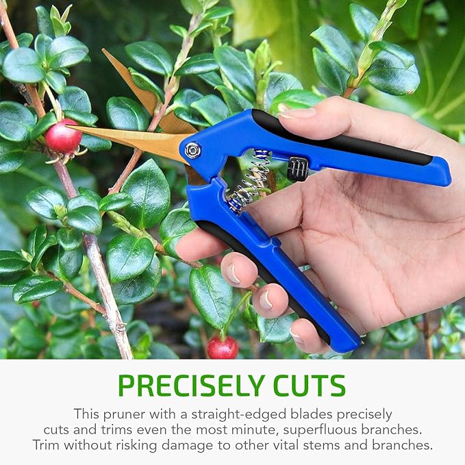 iPower 6.5" Pruning Shear Hand Pruner with Straight Stainless Steel Scissors for Gardening Potting with Titanium Coated Curved Precision Blades, Blue, 3 Pack