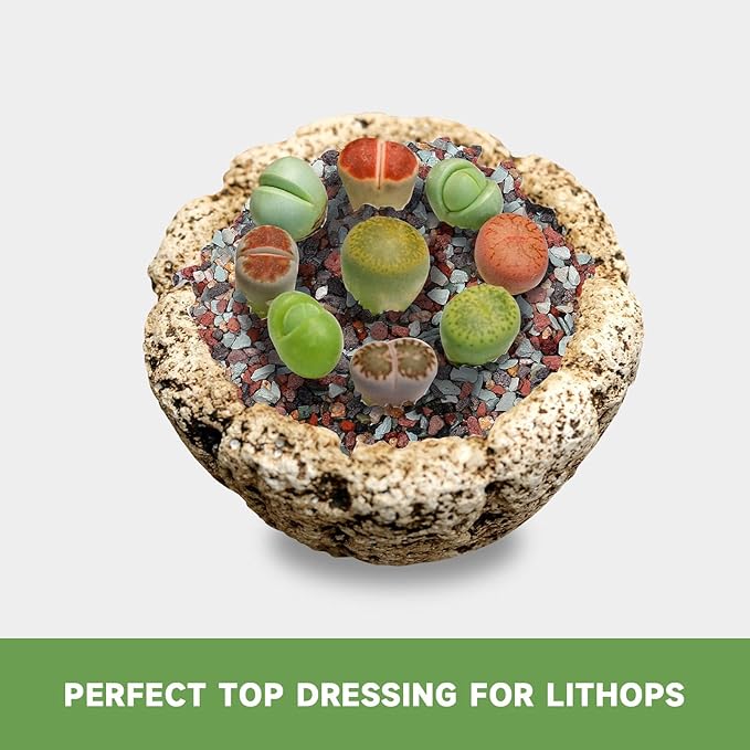 2.5lb Premium Horticultural Gritty Mix Lava Rock Pebbles Maifanitum Potting Soil Amendment -Perfect for Succulents, Cactus, Bonsai, Terrariums, and Fairy Gardening