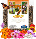 Monarch Butterfly Rescue Wildflower Seeds 4oz. Bulk Open-Pollinated Wildflower Seed Packet, No Fillers, Annual, Perennial Milkweed Seeds for Monarch Butterfly 4 oz