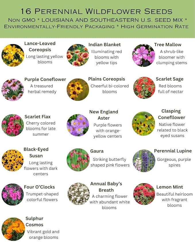 Louisiana Bulk Perennial Wildflower Seed Mix 1lb Covers 2,000sq-ft - Attract Pollinators, Multi-Color Blooms - Southeast US Species Plant in Spring/Fall, Earth-Friendly Packaging (1/4 Pound)