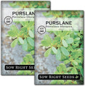 Sow Right Seeds - Purslane Seeds for Planting - Non-GMO Heirloom Packet with Instructions to Grow an Outdoor or Indoor Vegetable Garden - Rare Edible & Culinary Variety - Medicinal Benefits & Uses (2)