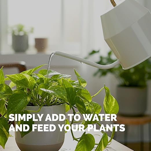 Pothos Fertilizer – Liquid Plant Food for Lush Growth, Stronger Roots & Vibrant Leaves, 32 oz
