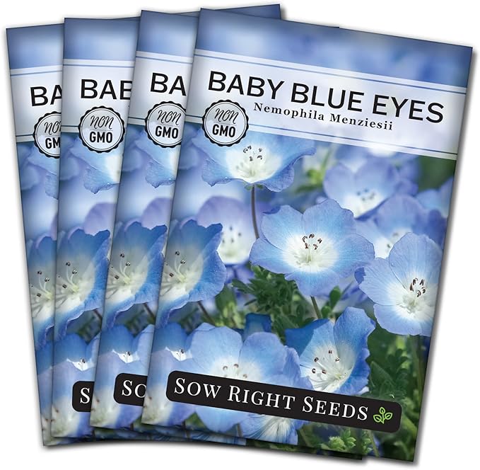 Sow Right Seeds - Baby Blue Eyes Flower Seeds for Planting - Annual Plant with Sweet Essence - Non-GMO Heirloom Packet with Instructions to Plant a Home Garden - Native California Wildflower (4)