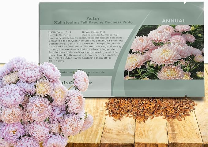 Outsidepride Paeony Aster Seeds - 2,000 Pcs Annual, Hardy & Pollinator Friendly Flower Seeds for Planting Vibrant Double Incurved Pink Petals, Ideal for Meadows & Aesthetic Gardens