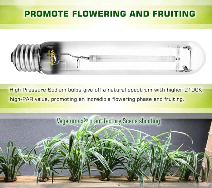 400W HPS Super Grow Light Bulb,High PAR Enhanced Red and Orange Spectrum,CCT 2100K,Ultra Bright 55,000 Lumens,E39 Base,1pack