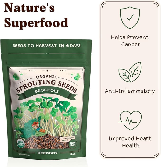 Seedboy Organic Non-GMO Broccoli Seeds for Sprouting - USA Grown Microgreens Sprouting Seeds - 8 oz Bag Makes 8 Quarts / 24 Servings (Di Cicco Broccoli)