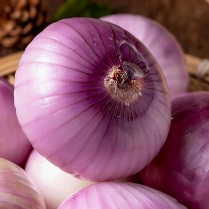 Onion Vegetable Seeds for Planting, 100+ Onion Seeds, Heirloom Non-GMO Vegetable Seed for Garden Outdoor