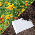 Park Seed Easy DIY Planting Sow Effortless Collection Seed Mats, Marigold Sparky Mix