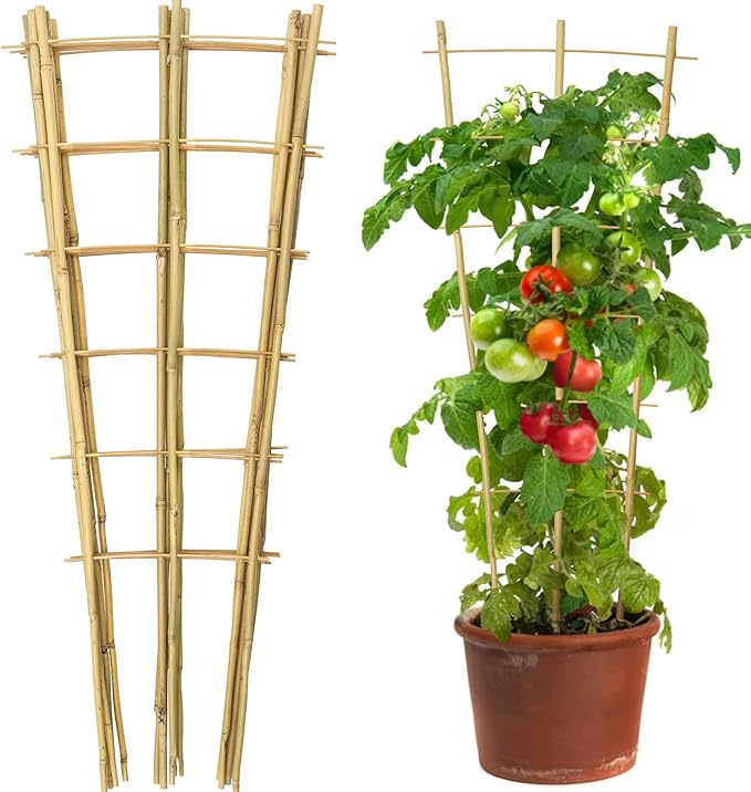 10 Pack 3 Feet Natural Bamboo Trellis, Fan-Shaped Bamboo Plant Trellis for Climbing Plants, Vegetables, Cucumber, Tomato, Outdoor and Indoor Potted Plants