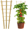 10 Pack 3 Feet Natural Bamboo Trellis, Fan-Shaped Bamboo Plant Trellis for Climbing Plants, Vegetables, Cucumber, Tomato, Outdoor and Indoor Potted Plants