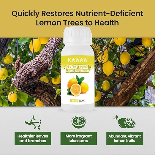 Liquid Lemon Tree Fertilizer - 10oz Microbial Organic Citrus Tree Fertilizer for Potted Trees & Indoor Plants, Meyer Lemon Tree Food, Concentrated Nutrient Solution
