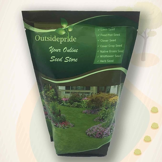 Outsidepride Ipomoea Alba Moonflower Seeds – 1 lb. Annual, Vining Flower Seeds for Planting, Fragrant Night-Blooming Climbers for Trellises, Moon Gardens, Night Pollinators & Outdoor Landscapes