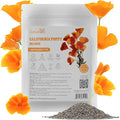 Groundio California Poppy Seeds, 1 Ounce Over 20000+ Seeds, Non-GMO | Heirloom | Sourced from USA- Eschscholzia Californica, USDA Zone 5-10