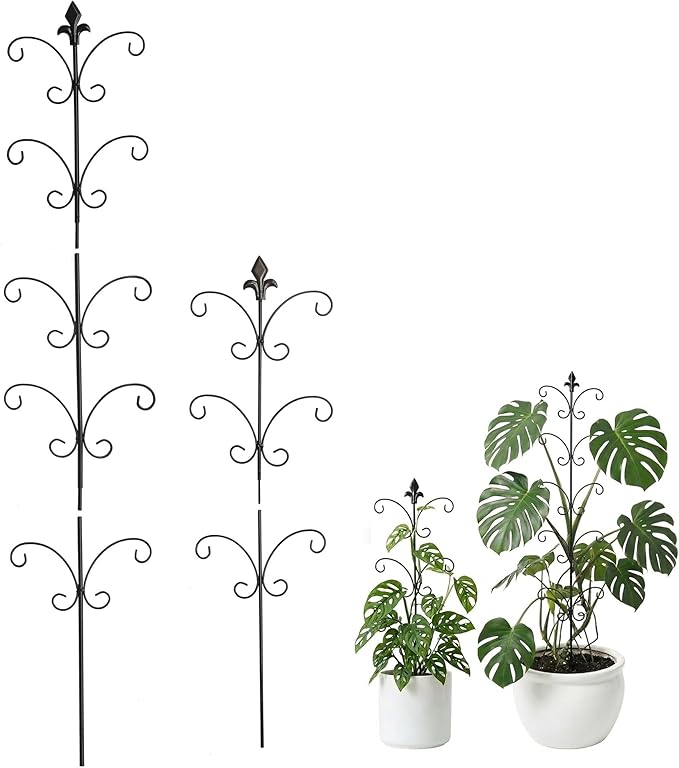2 Pack Monstera Plant Support Stakes, 31.5 Inch and 46.5 Inch Metal Stake for Indoor Plants, Outdoor Climbing Plant Trellis for Monstera, Pothos, Black