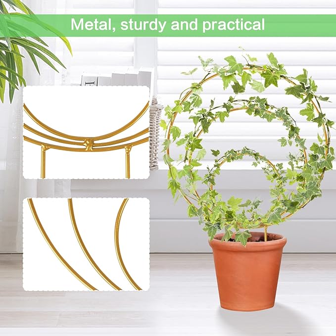 Hoya Trellis 3 Size Indoor Plants Flower Support Stakes Round or Heart Metal Trellis Set Garden Tool Accessories for Small Potted Vine Climbing Houseplants (GoldenC)