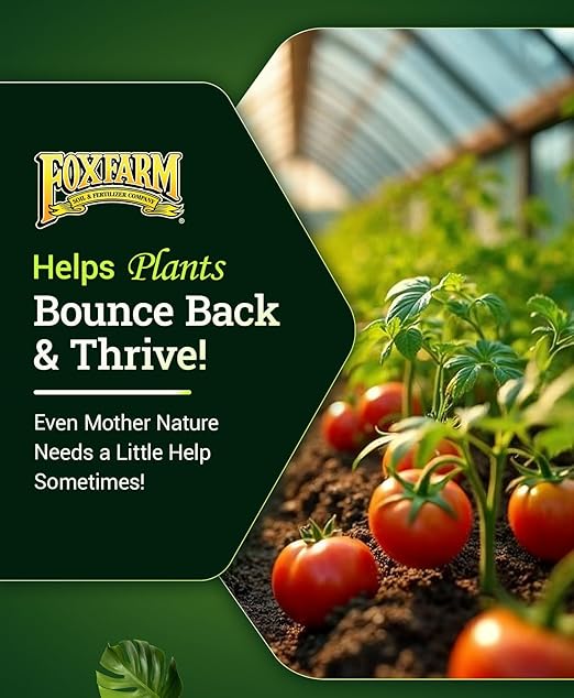 FoxFarm Bush Doctor Boomerang - 2-0.2-0.3 Comeback Formula - Microbial-Based Liquid Plant Fertilizer for Root Zone Support, Immediate Nutrient Uptake - Helps Plants Recover from Abiotic Stress-1 Quart
