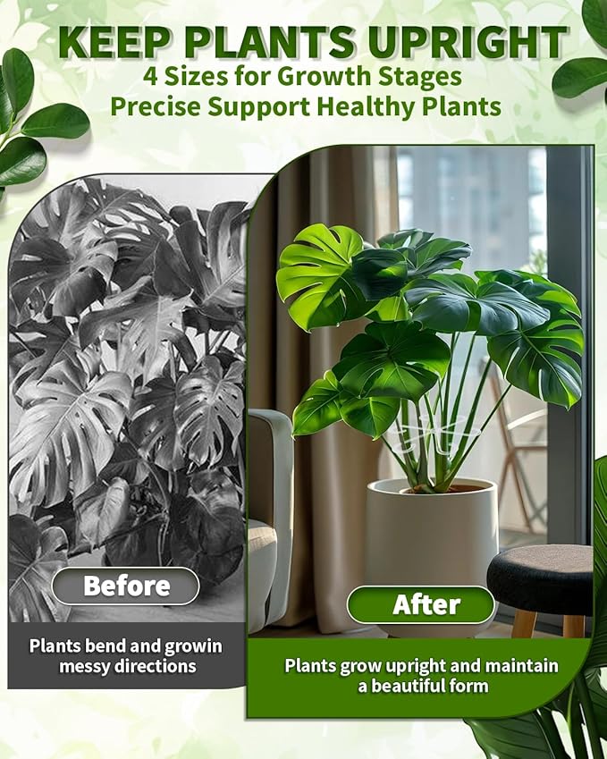 4 PCS Plant Stem Support, Climbing House Plant Stem Support, Plant Supports for Indoor Plants, Reusable Houseplant Accessories（Transparent）