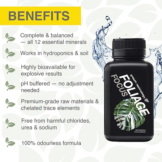 Growth Technology GT Foliage Focus - Liquid Indoor Plant Food for Houseplants, Tropical Plants, Aroids, Ferns and Palms - Concentrated Formula for Vibrant Leaves and Dense Foliage - 8.5 fl oz (250 mL)