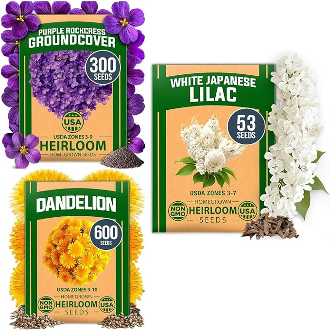 HOME GROWN Flower & Herb Seed Trio – 1,000+ 𝗡𝗢𝗡-𝗚𝗠𝗢 -𝗦𝗢𝗨𝗥𝗖𝗘𝗗 Seeds: White Lilac, Aubrieta Rock Cress & Dandelion – Heirloom 𝗨𝗦𝗔-Grown for Pollinators, Ground Cover & Medicinal Uses