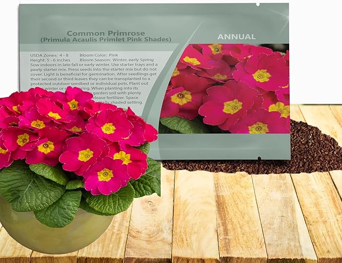 Outsidepride Danessa Pink Shades Common Primrose Seeds - 50 Pcs Annual, Hardy, Easy to Grow & Low Maintenance Flower Seeds for Planting Vibrant Blooms, for Containers, Borders & Erosion Control