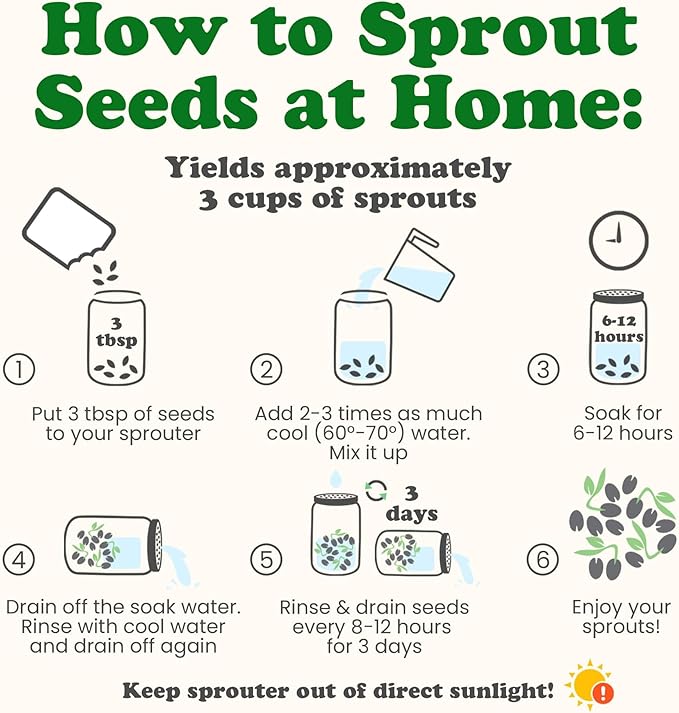 Food to Live - Salad Mix of Sprouting Seeds, 1 Pound Broccoli, Clover, Radish, Alfalfa, Kosher, Raw, Vegan