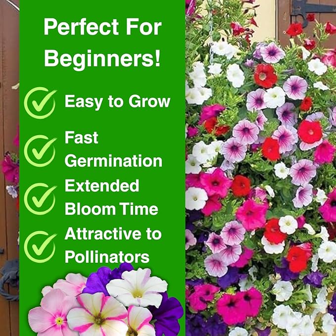 5000+ Petunia Seeds - Mixed Rainbow Color, Bonsai, Grandiflora Flowers, 1500 mg Heirloom Seeds, Flower Seeds, Pollinator Garden, Open Pollinated, Non-GMO, Indoor and Outdoor