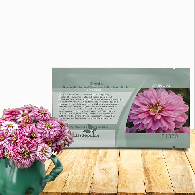 Outsidepride Zahara Double Raspberry Ripple Zinnia Seeds - 100 Pcs Annual, Hardy, Heat & Drought Tolerant, Deer Resistant, Ideal for Pollinator Gardens, Cut Arrangements, Flower Beds or Containers