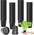 ZeeDix 2 Inch Net Pots for Hydroponics, 100 Pack Mesh Net Cups Hydroponic Baskets Plant Nursery, Reusable Heavy Duty Wide Lip Round Bucket Basket for Plants