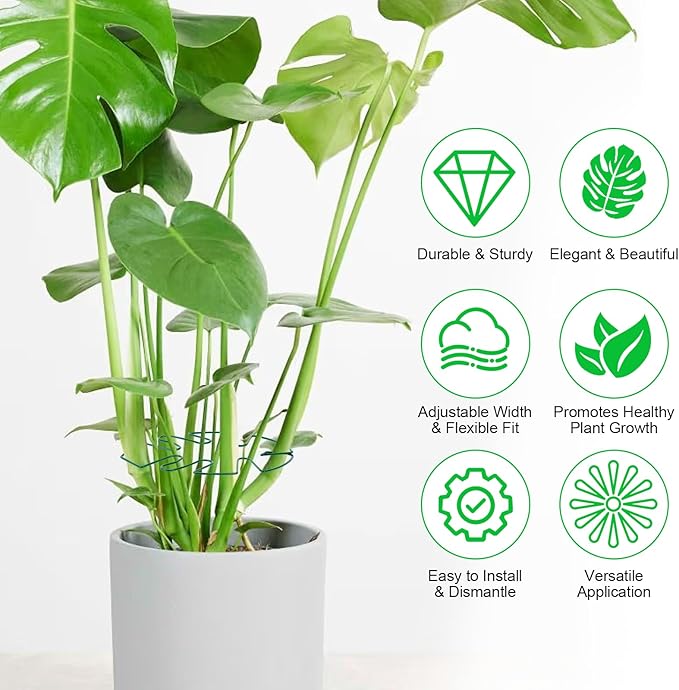 Hysagtek 6PCS Monstera Plant Support, Plant Stem Support Durable Monstera Stabilizer Grapple Holder, Turtle Shell Bamboo Clamp Set, Ideal Plant Support for Thriving Growth