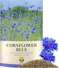SunHaven Seeds Bachelor Button Seeds – Blue Cornflower – 5,500+ Seeds – 1 oz Bulk Extra Large Resealable Packet – Open-Pollinated Centaurea cyanus Wildflower Seeds
