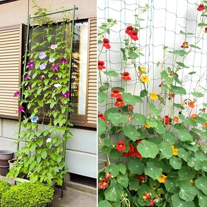 Pack of 2 Cucumber Tomato Trellis Netting, Heavy Duty Garden Netting for Climbing Plants Support, Pea, Grape, Bean, Fruit, Vegetables - 4" Mesh Size, 6Ft x 6Ft