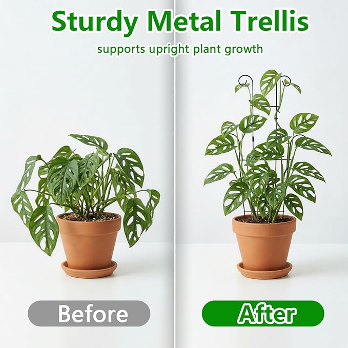 2pcs Plant Trellis Vine Plant Support Assembled and Rustproof for Pothos Hoya Ivy Monstera Flower for Garden Potted Plant Indoor Outdoor 24.7inch