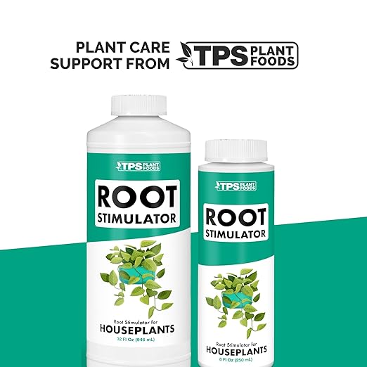 Root Stimulator for Houseplants – Liquid Root Supplement with Kelp & Probiotics for Stronger Roots & Better Nutrient Uptake, 8 oz