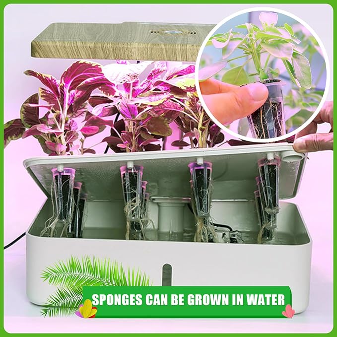 50 Pack Grow Sponges, Sponges Seed Growth Kit (Brown)