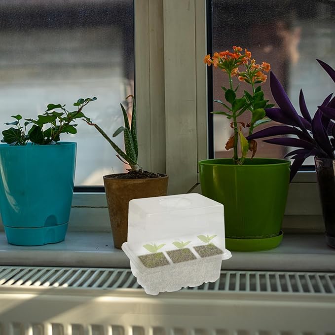 Yardwe 3pcs Plant Germination Boxes with 6 Holes, Thickened and Heightened Nursery Trays for Seedling Growth, Moisture and Heat Retention Planting Supplies for Garden and Greenhouse Use