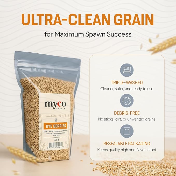 Bulk Rye Berries - Certified 100% Organic - Extra Clean - Great for Mushroom Spawn, Cooking, Brewing & Distilling - Triple Washed, non-GMO and in Resealable Bag - by Mycology Basics (2.0 lbs)