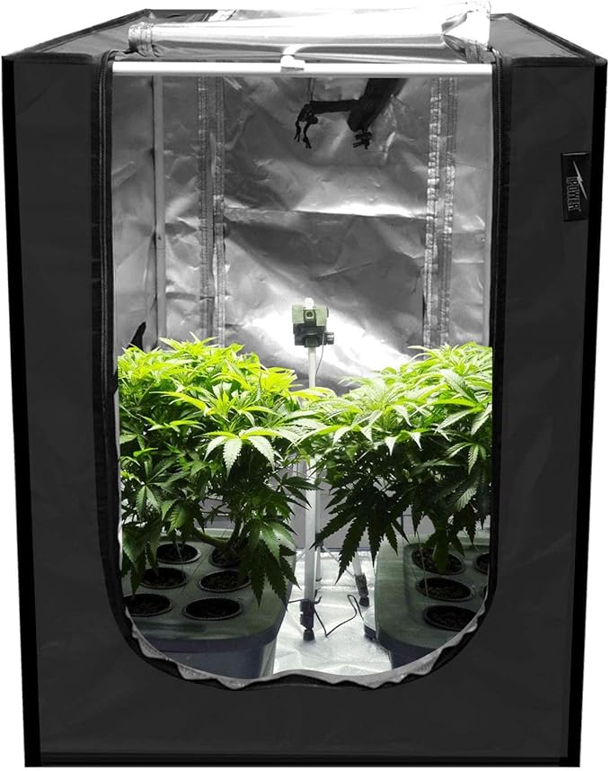 iPower 24"x24"x36" Grow Tent, Water-Resistant Mylar with Observation Window and Removable Floor Tray for Hydroponic Indoor Plant Seedling, Propagation, 24" x 24" x 36", Blossom