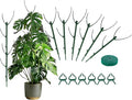 Tree Branch Plant Support Stakes – Stackable Plant Support Sticks with Clips & Velcro Tie – Natural Aesthetic Extendable Trellis for Indoor Plants, Monstera, Pot (Green-6 Pack)