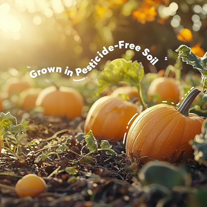 SUNGIVEN Organic Pumpkin Seeds 28 Oz Shelled Raw Gluten Free Non GMO Vegan for Baking Salad Breakfast Snack