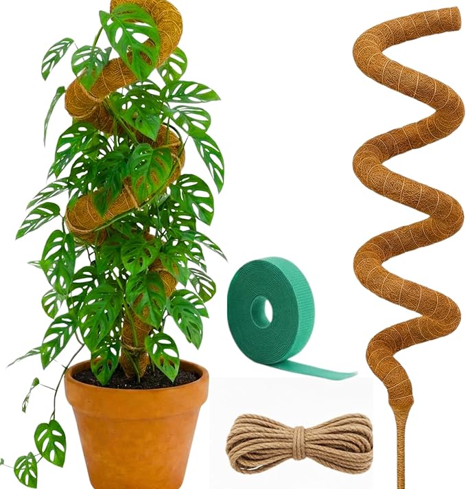 Moss Pole Monstera Plant Support | 60 Inch Plant Stakes for Indoor Plants | Coconut Palm Fiber Moss Poles for Climbing Plants | Handmade Plant Sticks Support Tall Monstera, Pothos & More