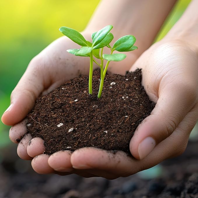 Seed Starter Potting Soil Mix 1qt, Seed Starting Mix for Germination and Growth, Loamy Compost Well-Drainaged Soil Fit for Vegetable, Flower, houseplant