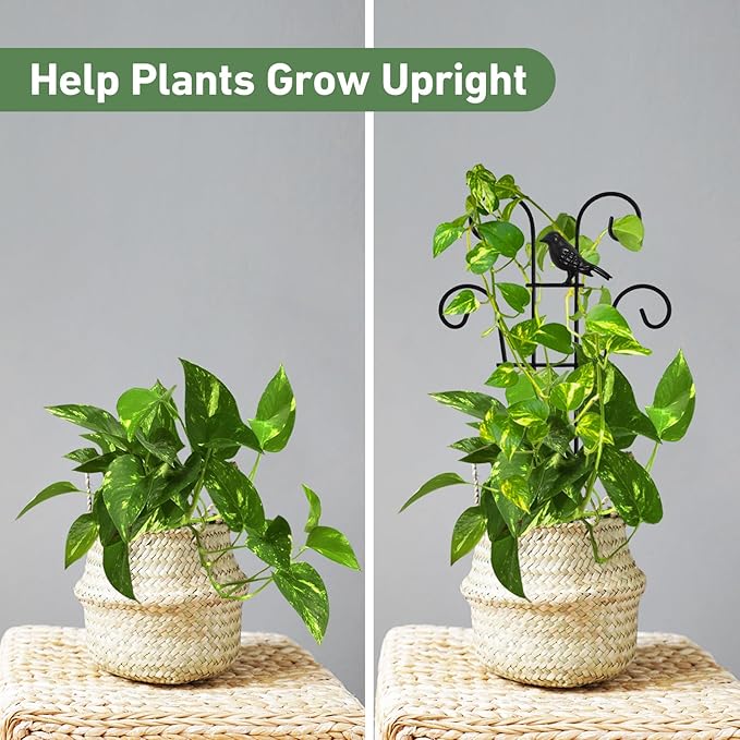 14.17in Indoor Plant Trellis for Potted Plants with Bird, Small Metal Indoor Trellis for Climbing Plants Indoor for Houseplant, Pothos Plant Climber Support for Hoya Vine, 2p