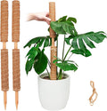 Pisol Moss Pole for Plants Monstera, Extendable Plant Sticks Support, Plant Stakes for Indoor Potted Plant, 15.7'' Coco Coir Pole Plant Trellis for Sphagnum, Pothos and Other Climbing Plants(4 PCS)