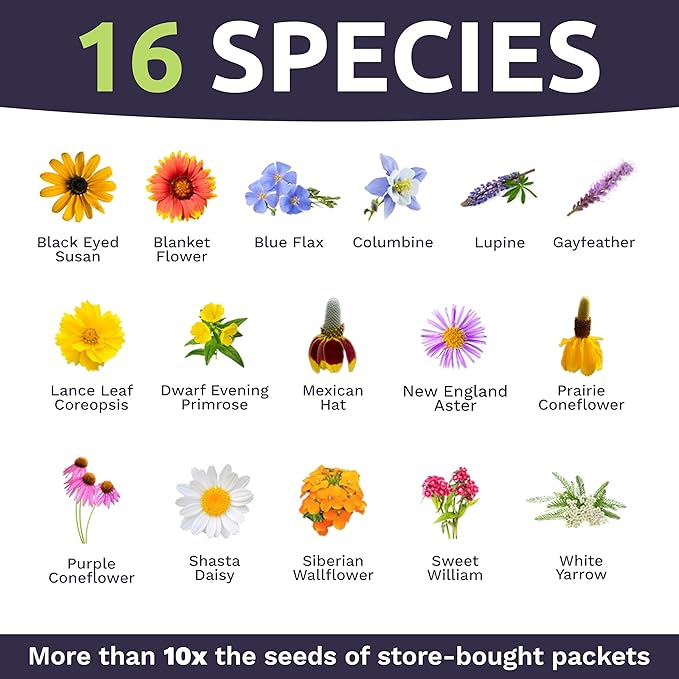 Perennial Wildflower Seeds Mixture - Bulk 1 Ounce Packet - Over 15,000 Pure Live Seed - Open Pollinated and Non GMO…