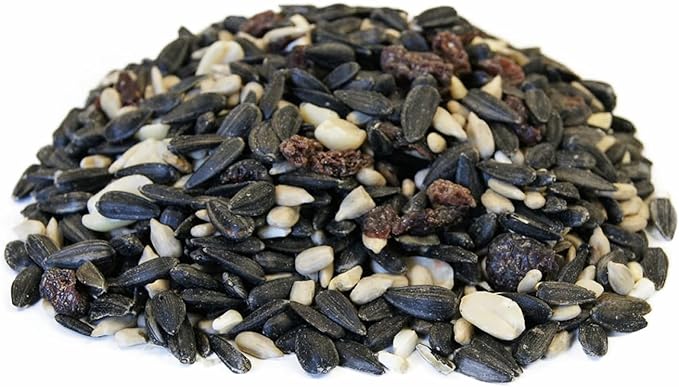 CountryMax Backyard Seed Berries 'n Nut Blend Bird Seed for Woodpeckers, Cardinals and Finches (20 Pounds)