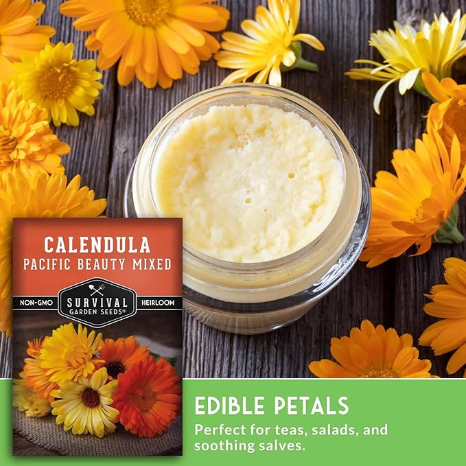Pacific Beauty Mix Calendula Seeds for Planting – Colorful Heirloom Pot Marigold with Edible & Medicinal Flowers, Pollinator Friendly – Survival Garden Seeds (1 Pack)
