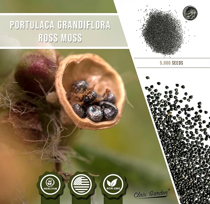 Moss Rose - Portulaca Grandiflora - 5,000+ Seeds - Mixed Colors, Heirloom, Non-GMO, Excellent for Pollinators, Annual - Vibrant Flowers with Heat & Drought Tolerance for Any Home Garden