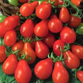 Tomato Garden Seeds - Red Pear - 250 Mg Packet ~90 Seeds - Non-GMO, Heirloom, Vegetable Gardening Seed