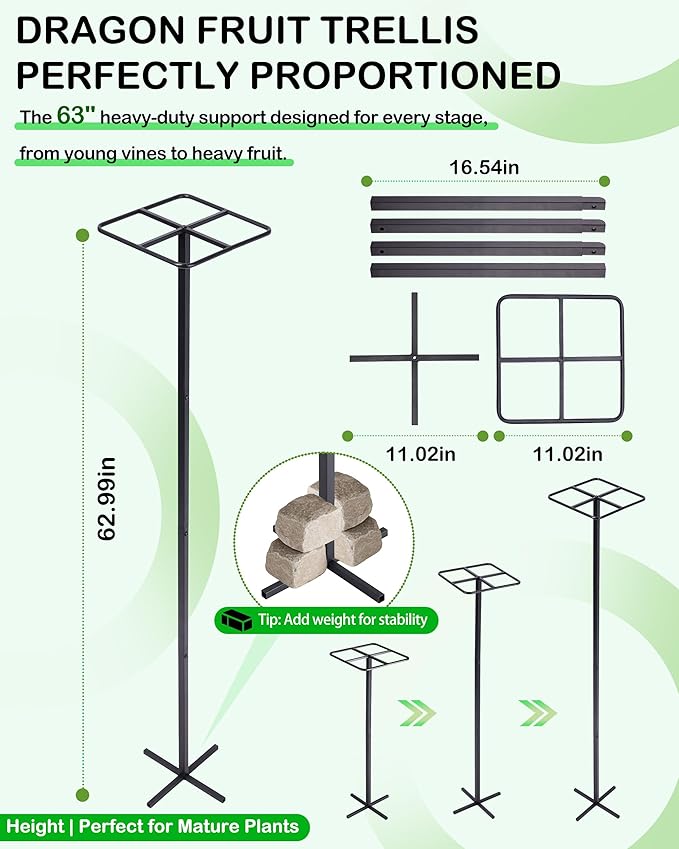 Metal Dragon Fruit Trellis 62" - Adjustable Heavy Duty Metal Plant Support with Square Top Design for Climbing Plants and Vertical Gardening, Powder-Coated Black for Garden, Patio, Indoor Use