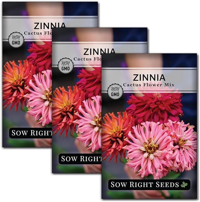 Sow Right Seeds - Zinnia Cactus Flower Seeds for Planting - Beautiful Flowers to Plant in Your Garden - Non-GMO Heirloom Seeds - Red and Pink Variety - Attract Pollinators - Beautiful Cut Flower (3)